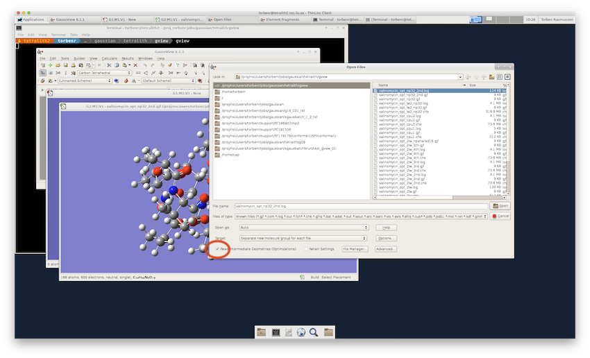 GaussView read file on Tetralith